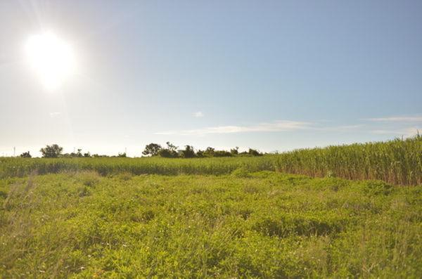 Star Light Terrace Teruya Hotel Kouri ภายนอก รูปภาพ